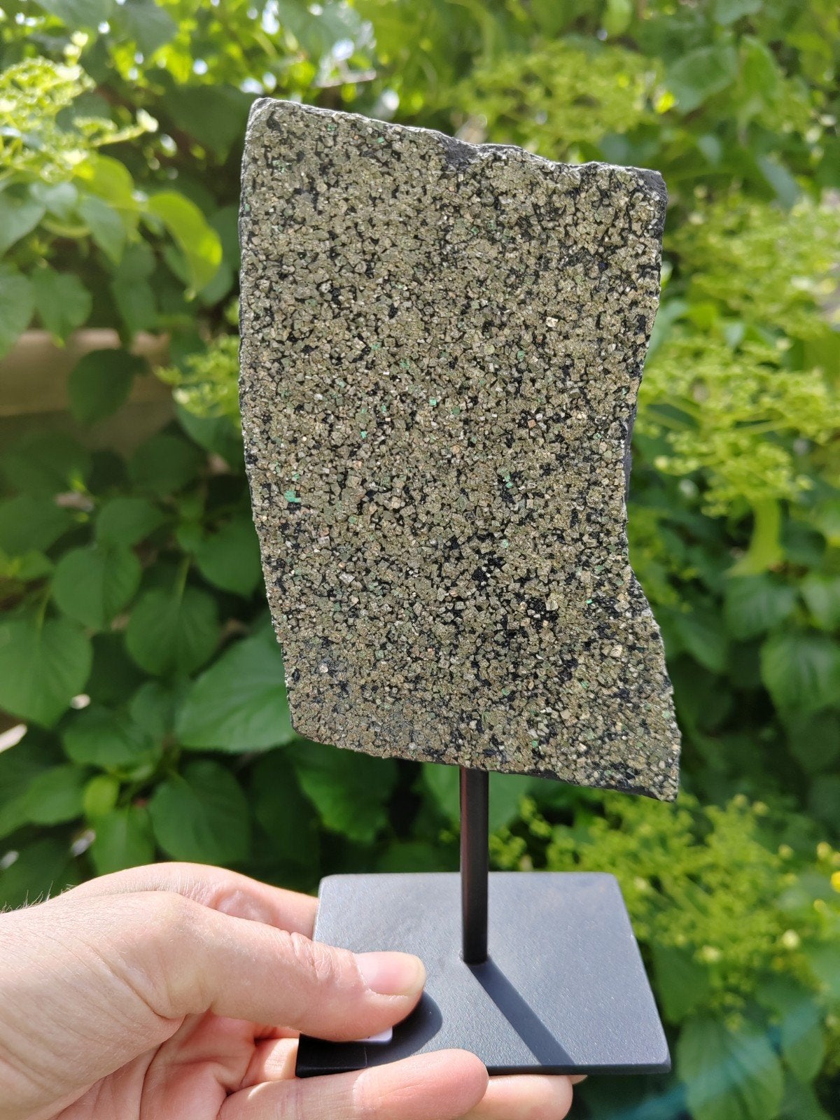 Pyriet op Shungiet op standaard, Verzamelen, Mineralen en Fossielen, Ophalen of Verzenden