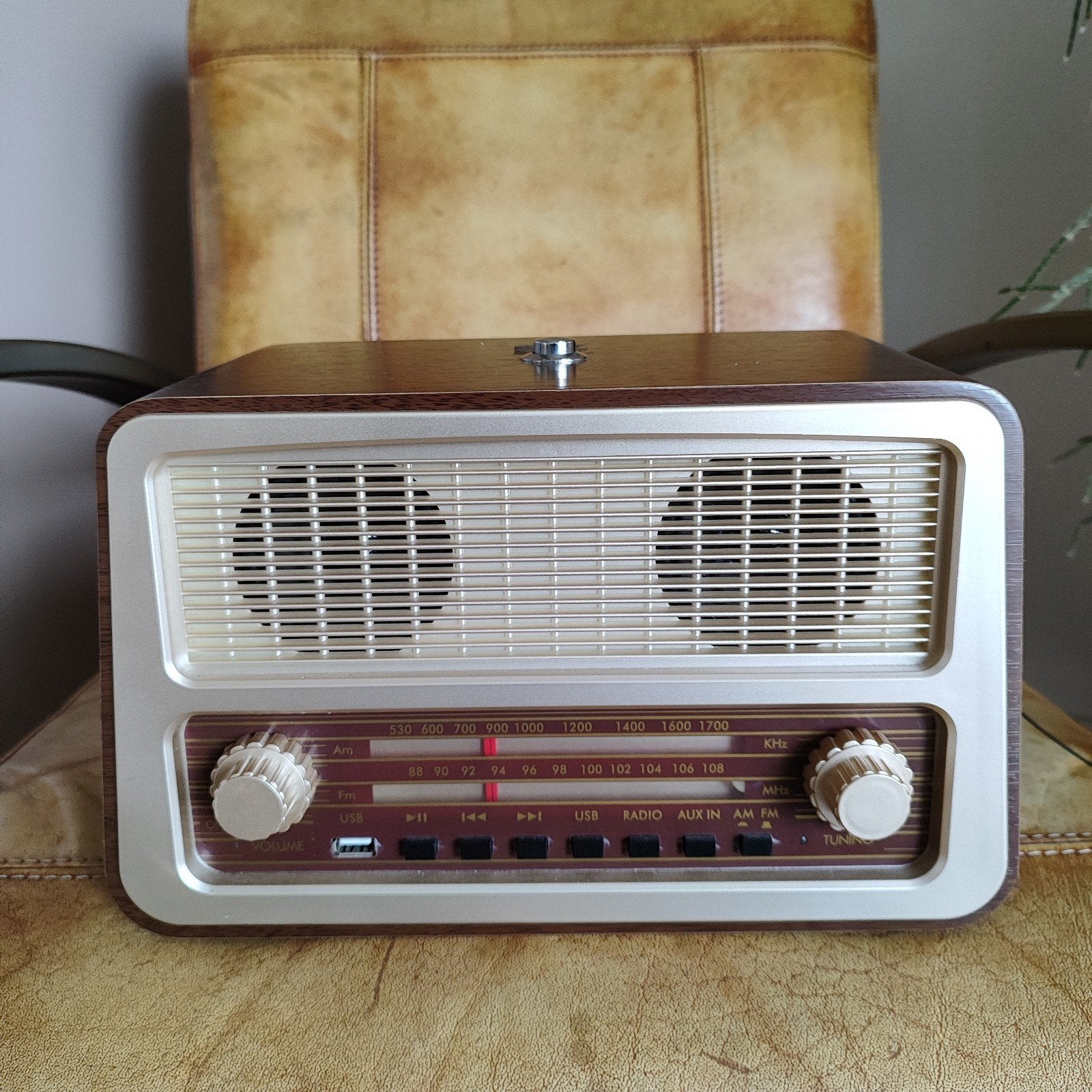 Radio met één knop voor dementiepatiënten, Ophalen