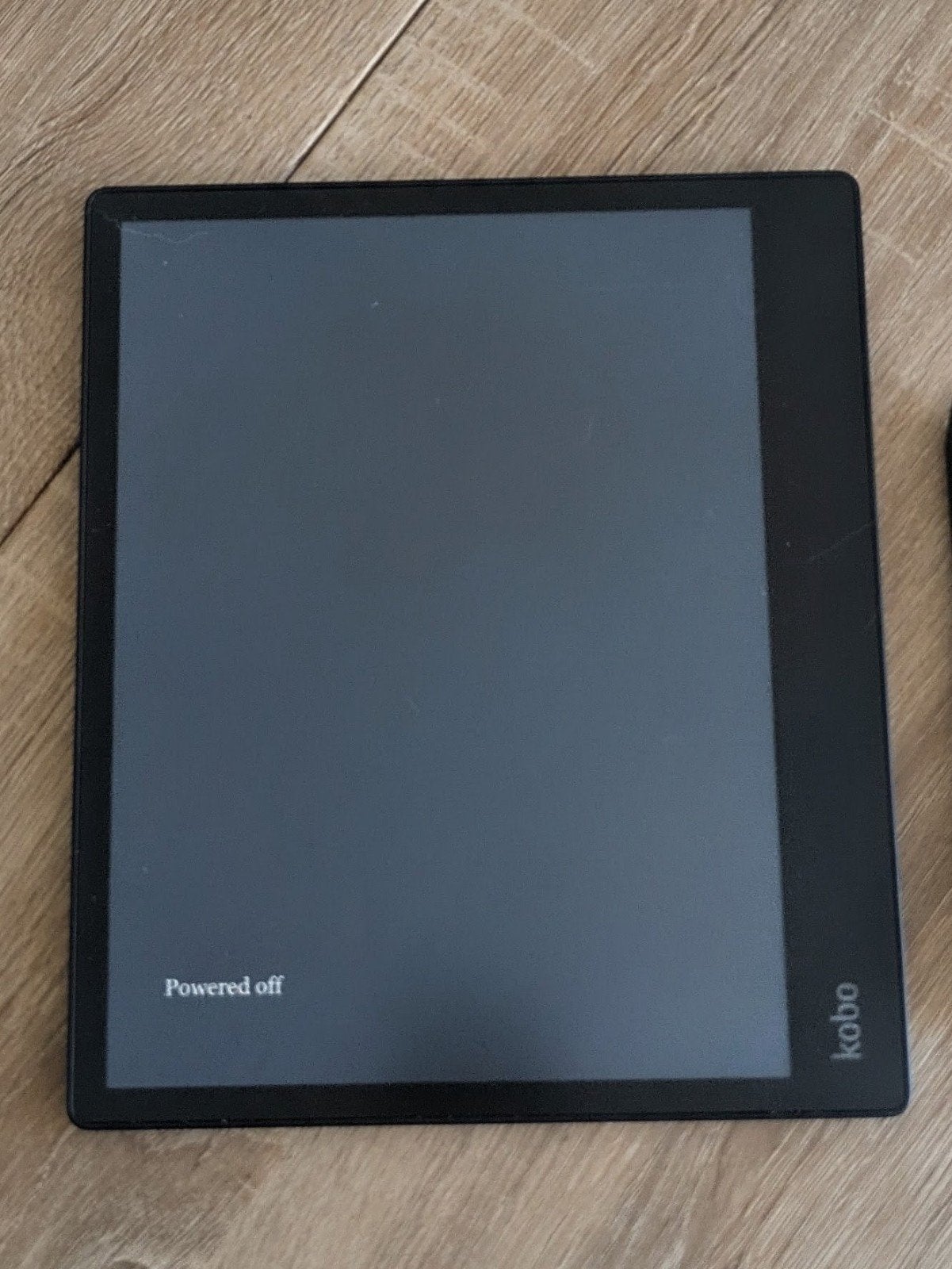 Kobo Elipsa 2e e-reader met stylus en sleepcover, Computers en Software, Kobo, Ophalen of Verzenden, 10 inch of meer, 16 GB of meer