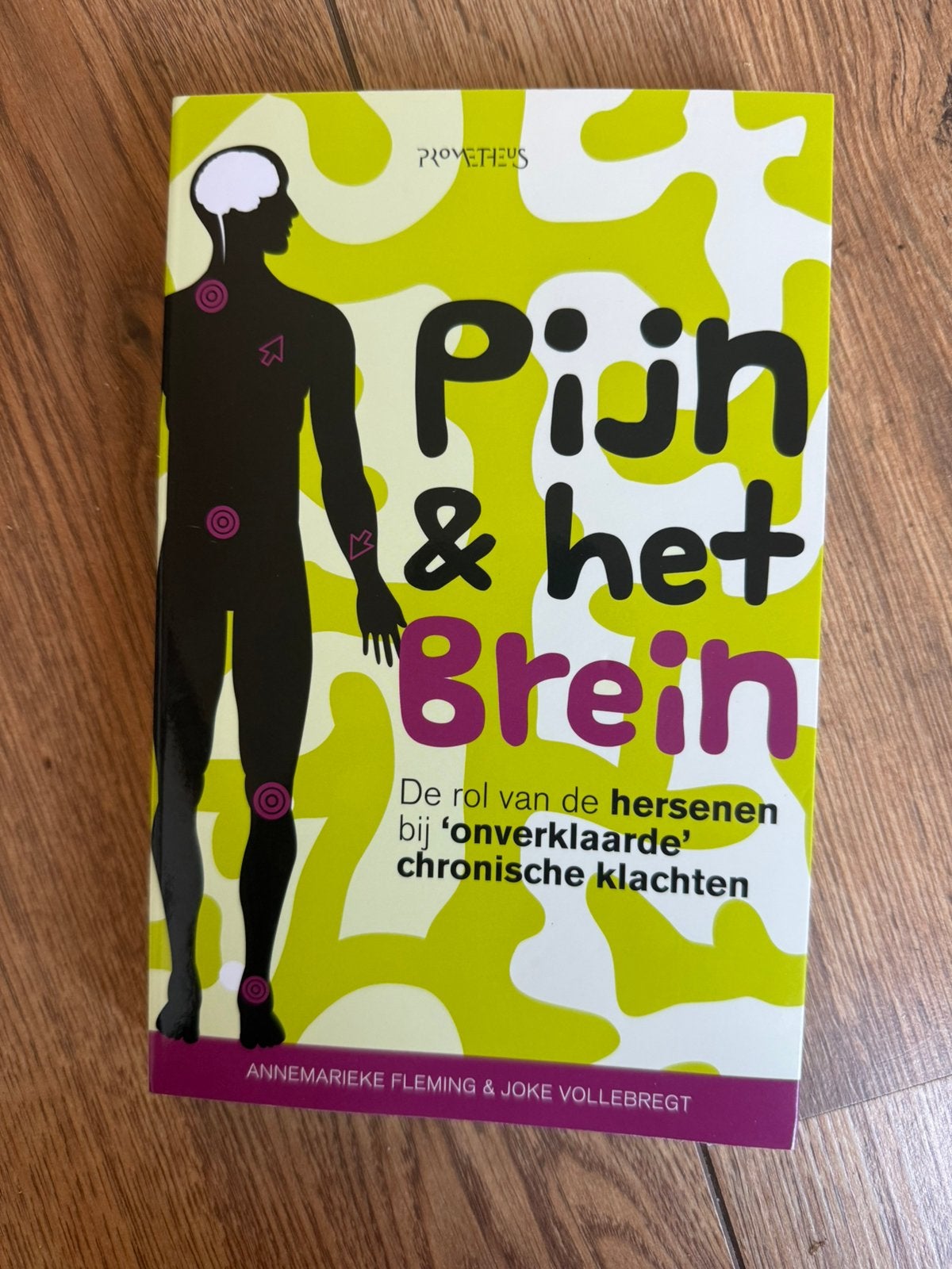 Pijn & het brein-  Annemarieke Fleming, Boeken, Ophalen of Verzenden, Zo goed als nieuw
