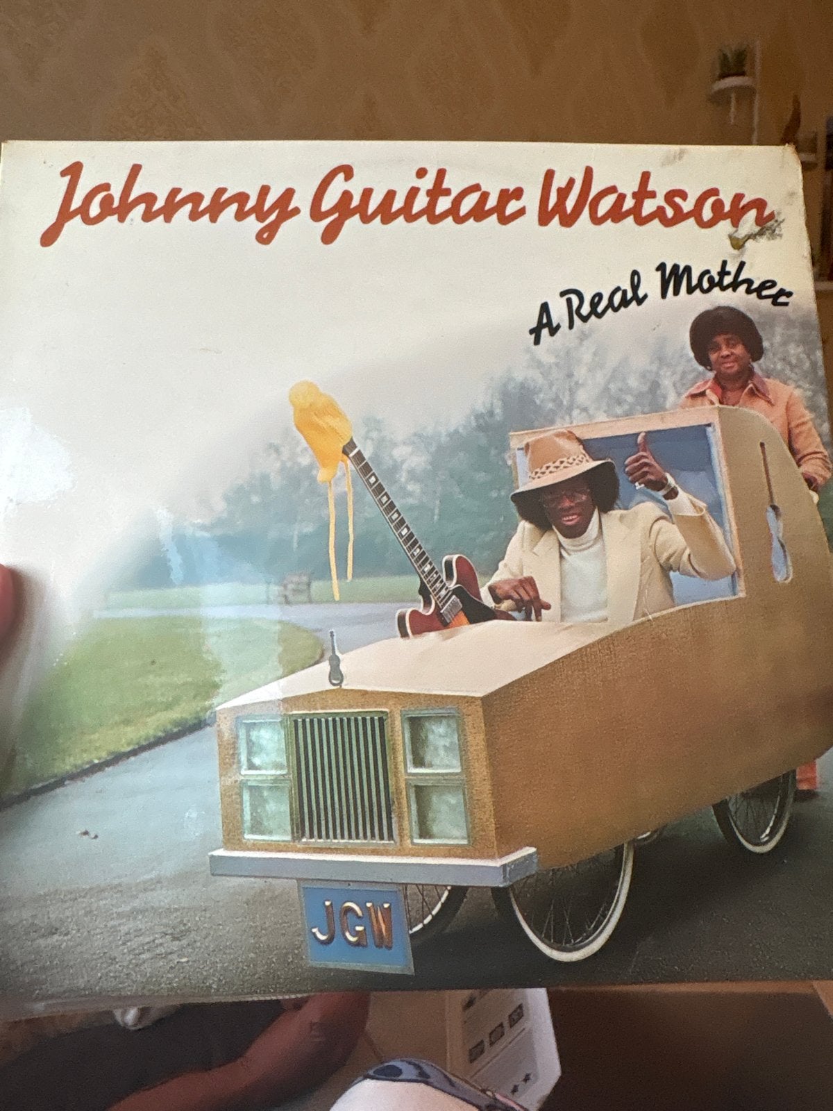 Johnny Guitar Watson - A Real Mother LP (Pop, Funk), Ophalen, LP, Gebruikt, Pop