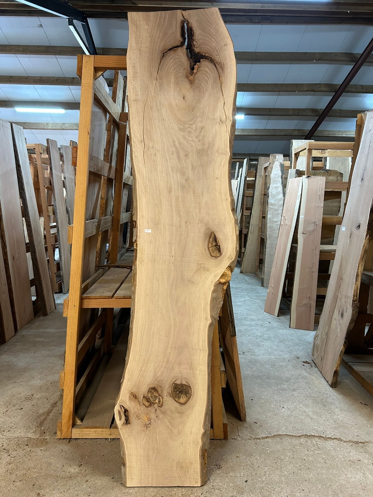 Nr 82/ plataan boomstamblad ca 4,5x50x280cm, Ophalen, Nieuw, 250 cm of meer, Planken