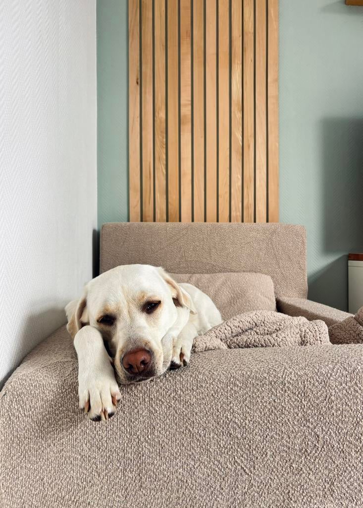 Z.g.a.n. orthopedisch hondenbed (waterproof & wasbaar), Dieren en Toebehoren, Ophalen, Nieuw, Overige