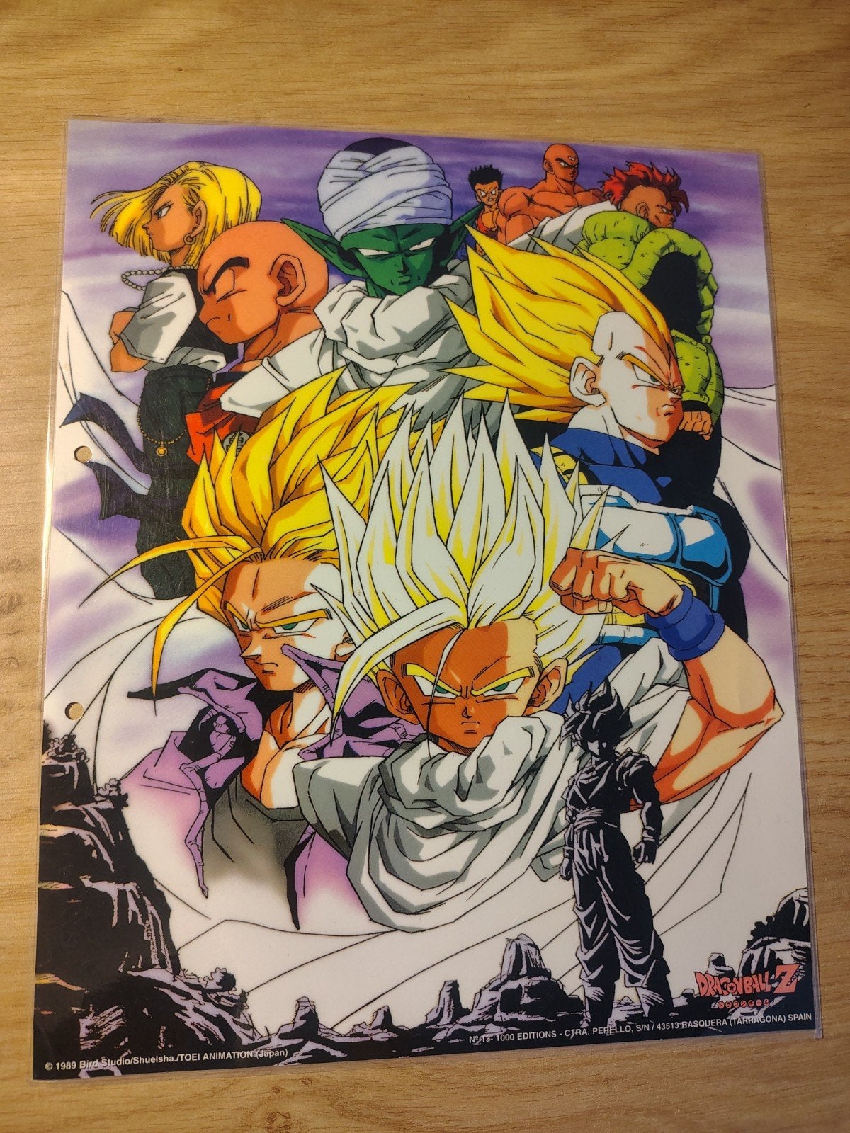 Dragon Ball Z Poster, Eén comic, Ophalen of Verzenden, Zo goed als nieuw, Amerika