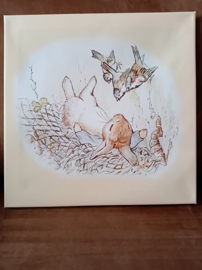 PETER HET KONIJN SCHILDERIJ 4x PER STUK €5, Nieuw, Ophalen of Verzenden, Schilderij, 5 – 50