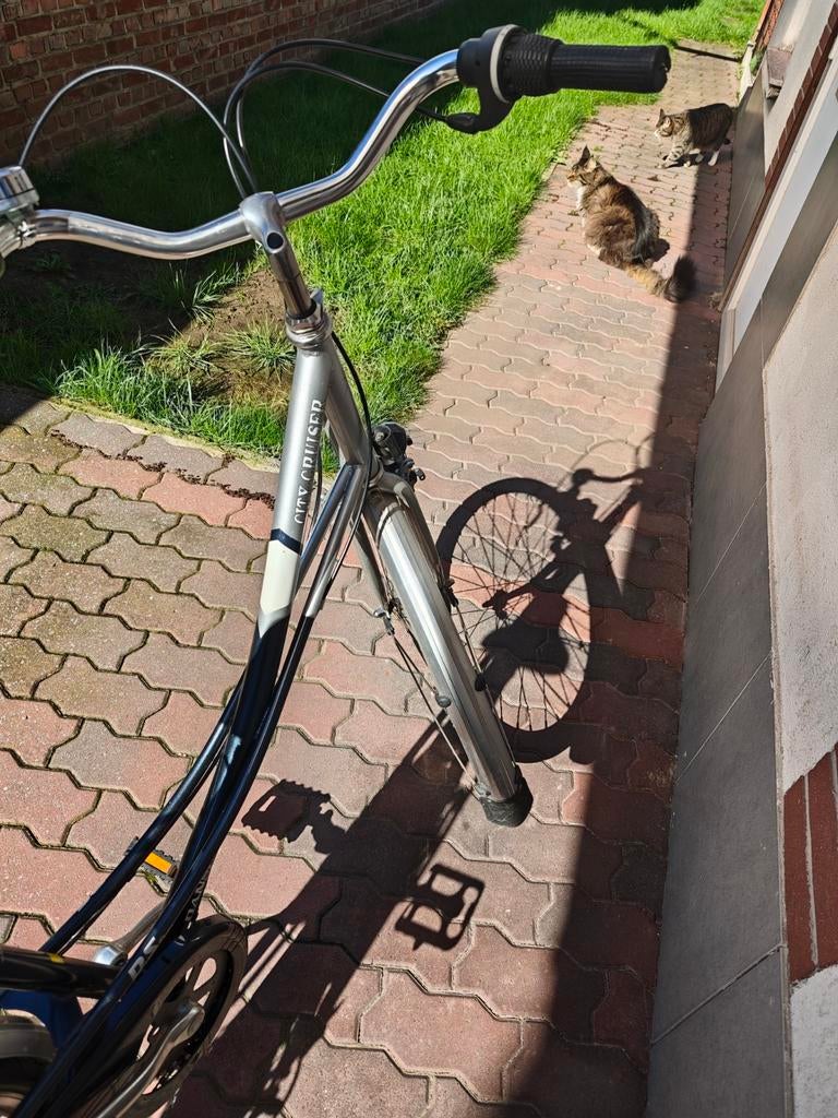 Dames fiets, 55 cm of meer, Ophalen of Verzenden, Gebruikt, Minder dan 10 versnellingen