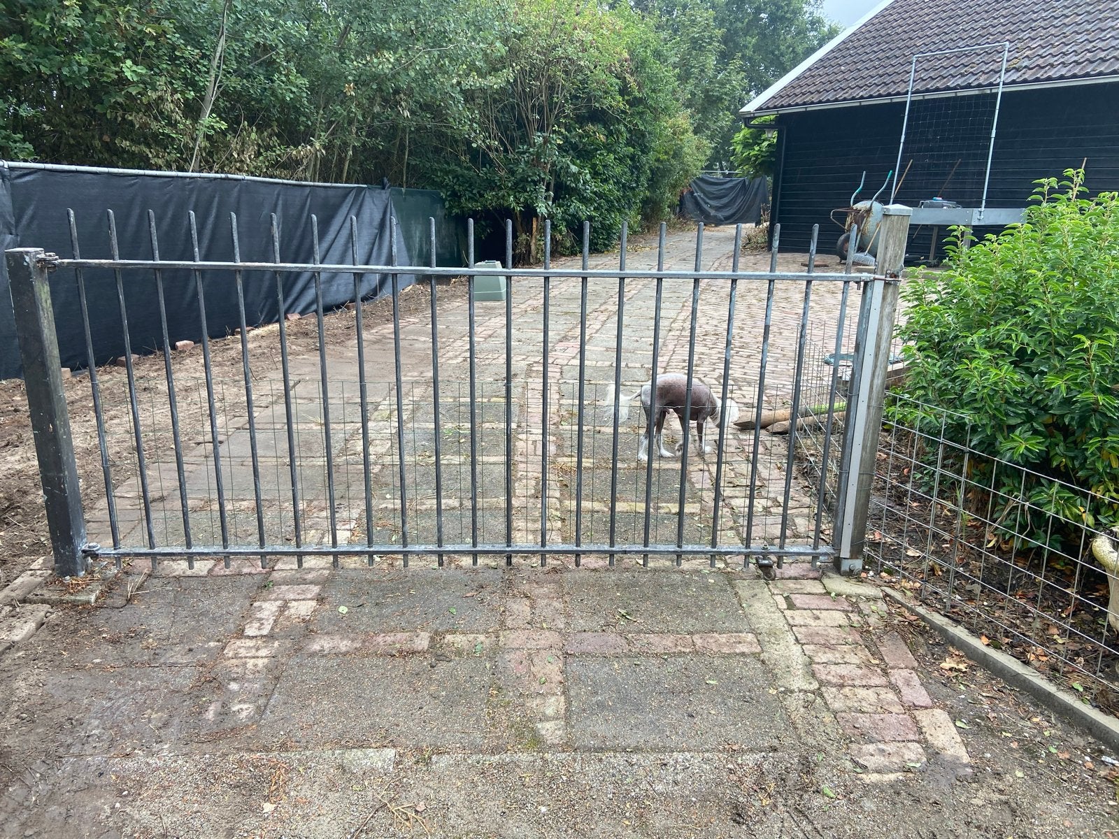 Gebruikte Poort - 270 cm breed, Ophalen, Met poort, Gebruikt, Spijlenhekwerk