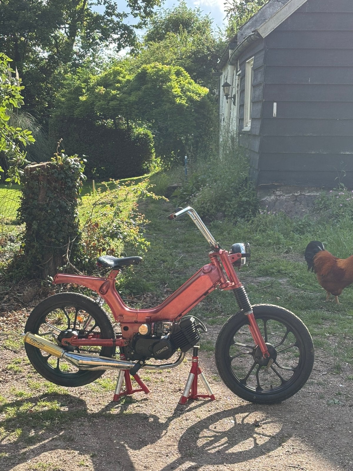 Tomos a35 ook teruil tegen andere brommer, Ophalen, Zo goed als nieuw, Standard