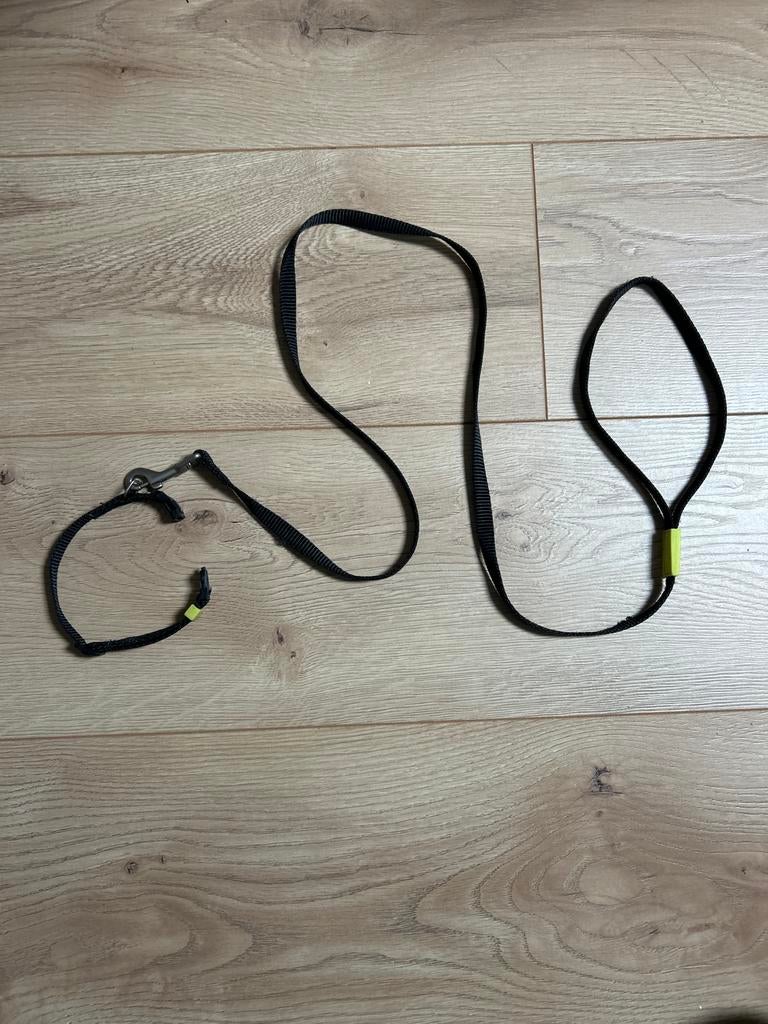 Puppy verstelbare halsband en lijn, Dieren en Toebehoren, Ophalen of Verzenden