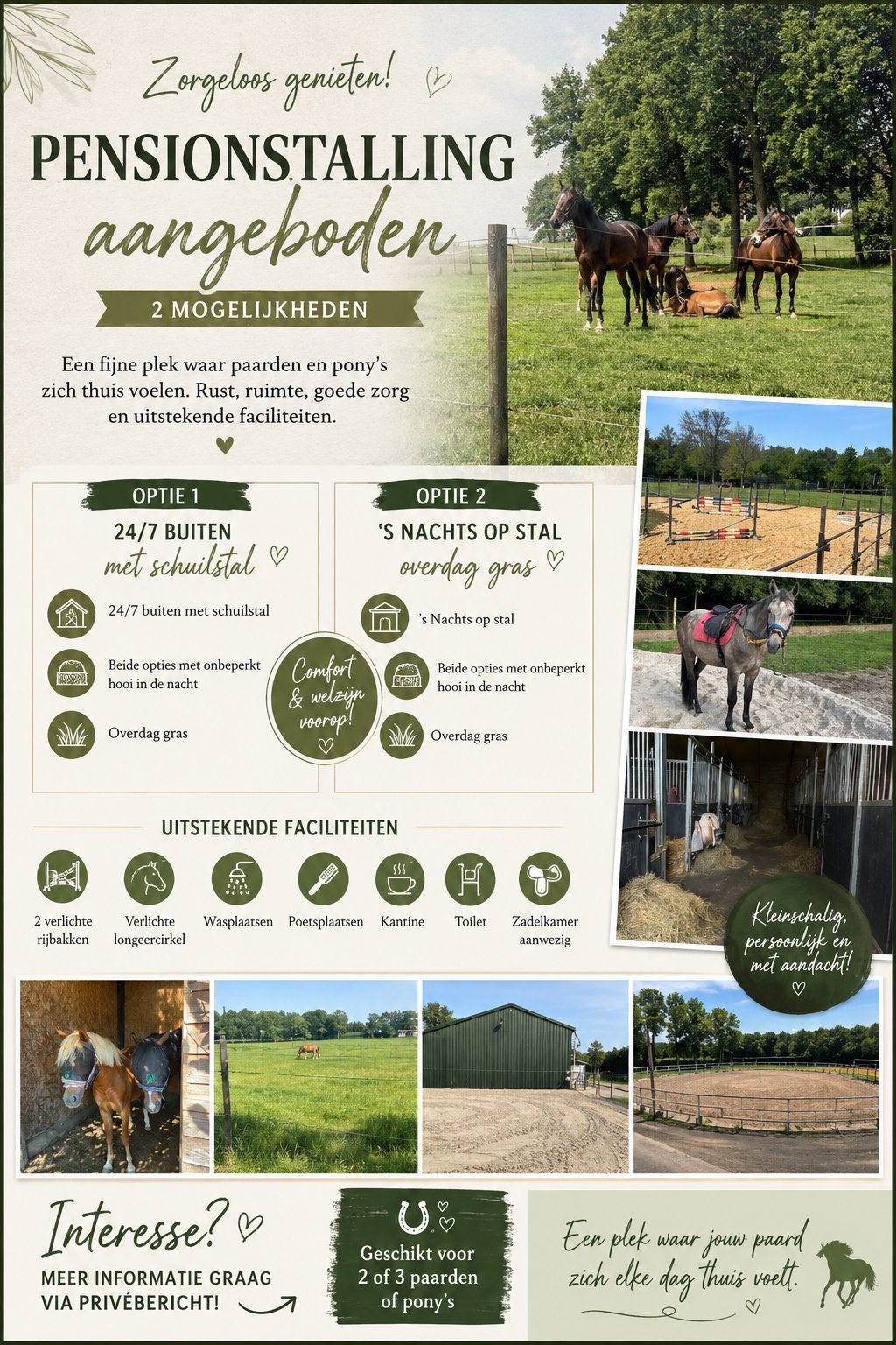 Pensionstalling aangeboden, Weidegang, 2 of 3 paarden of pony's