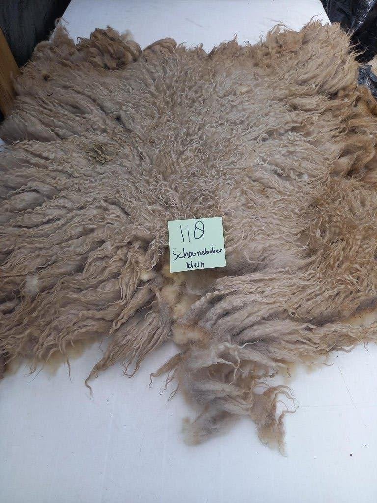 nr 118 Geschoren vacht Schoonebeker heideschaap, Ophalen of Verzenden, Gebruikt