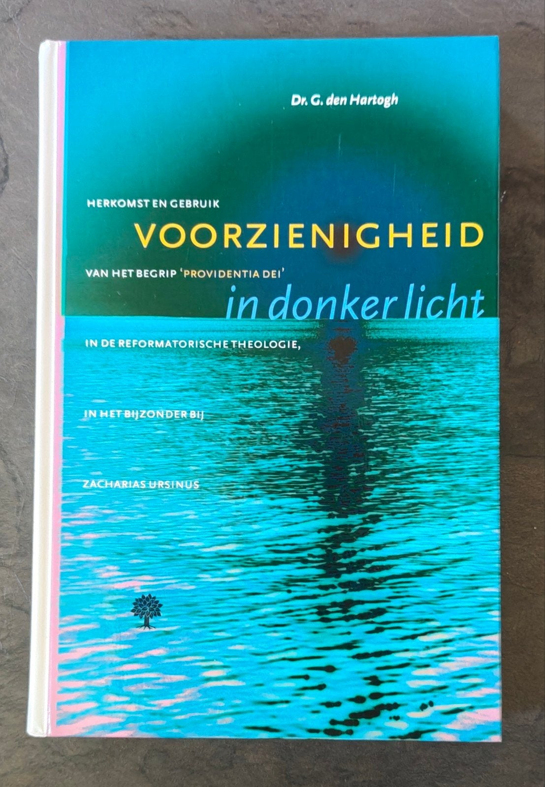 G. den Hartogh - Voorzienigheid in donker licht, Ophalen of Verzenden, Zo goed als nieuw, G. den Hartogh