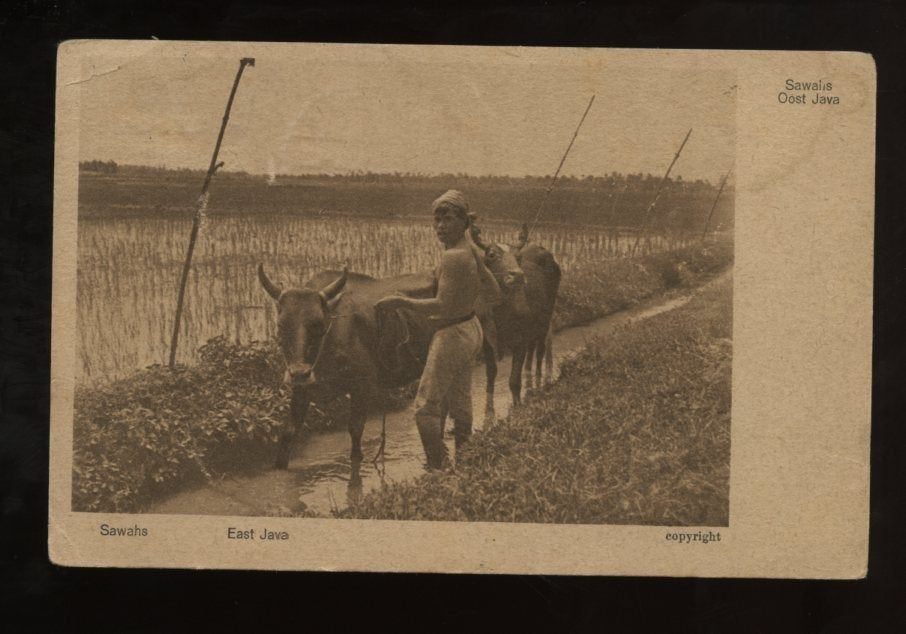 Ned Indië oost Java (30-57), Ophalen, Voor 1920, Buiten Europa