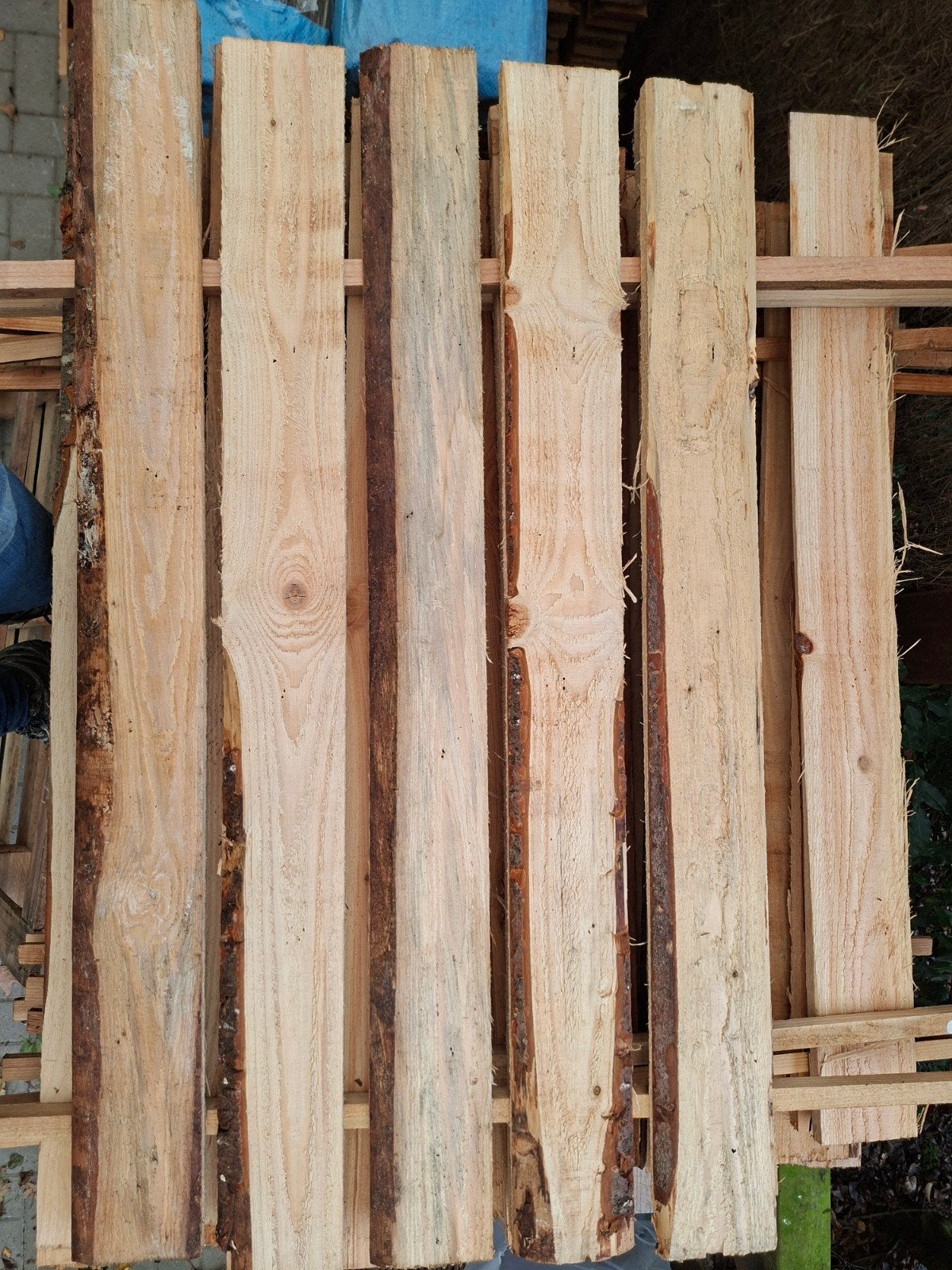 Douglas planken 20x95mm 100cm - Vanaf ‎‎€0,75 p/st, Doe-het-zelf en Verbouw, Ophalen, Minder dan 25 mm, Nieuw, Plank