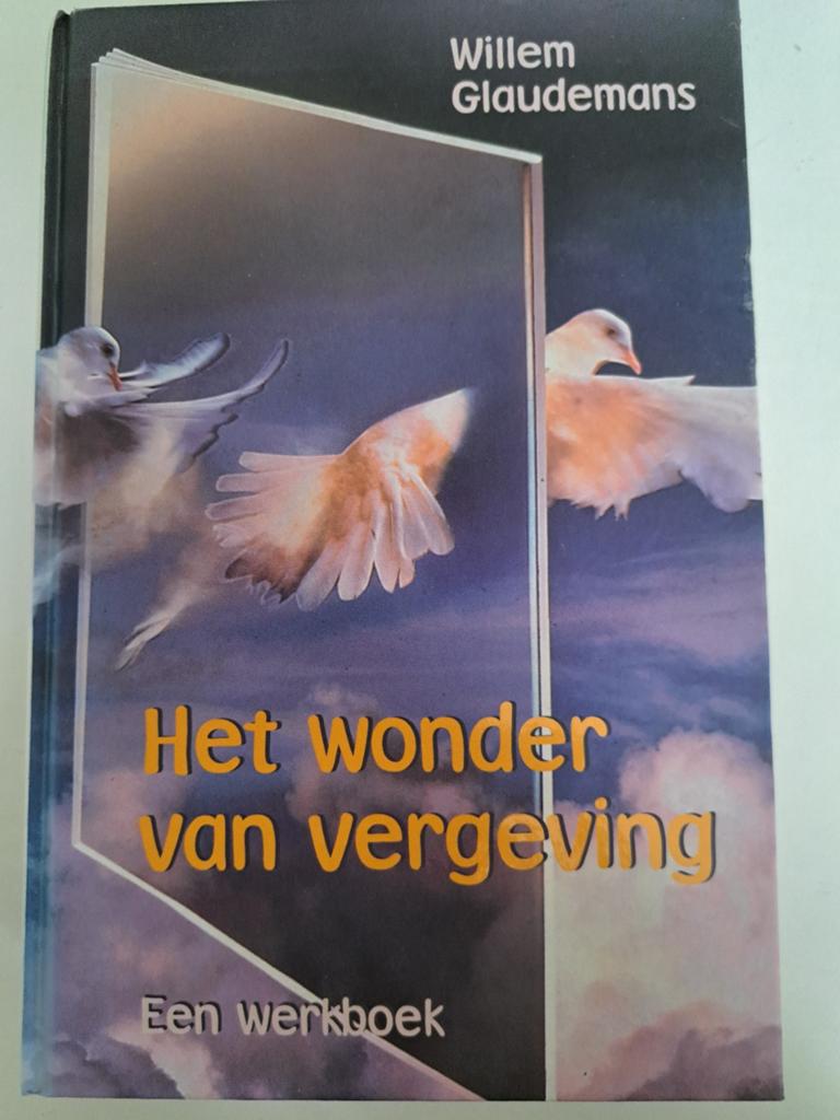 Het wonder van vergeving - Willem Glaudemans (Werkboek), Boeken, Spiritualiteit algemeen, Zo goed als nieuw, Instructieboek, Willem Glaudemans
