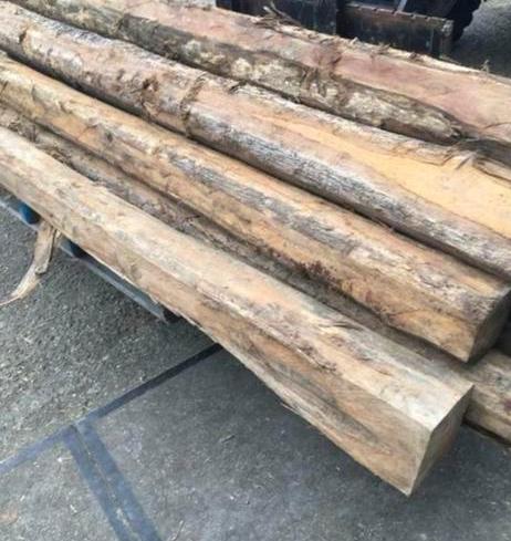 Houten balken te koop – 30 x 300 cm (partij van 10 stuks), Ophalen, Gebruikt, Hardhout, 250 cm of meer