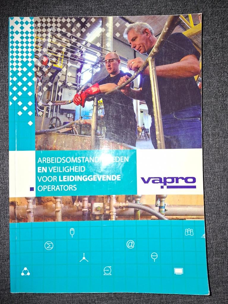 boek: Vapro, Boeken, Studieboeken en Cursussen, Ophalen of Verzenden, Zo goed als nieuw, E.W.M Smit, Beta