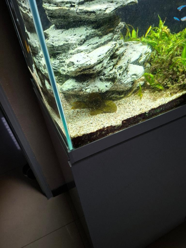 Tekoop aquarium, Ophalen, Overige typen, Overige merken, Zo goed als nieuw