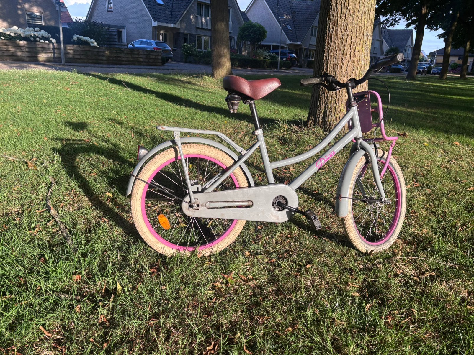Diva 20” meiden - kinder fiets, Fietsen en Brommers, Fietsen | Kinderfietsjes, Ophalen of Verzenden, Zo goed als nieuw, 20 inch of meer