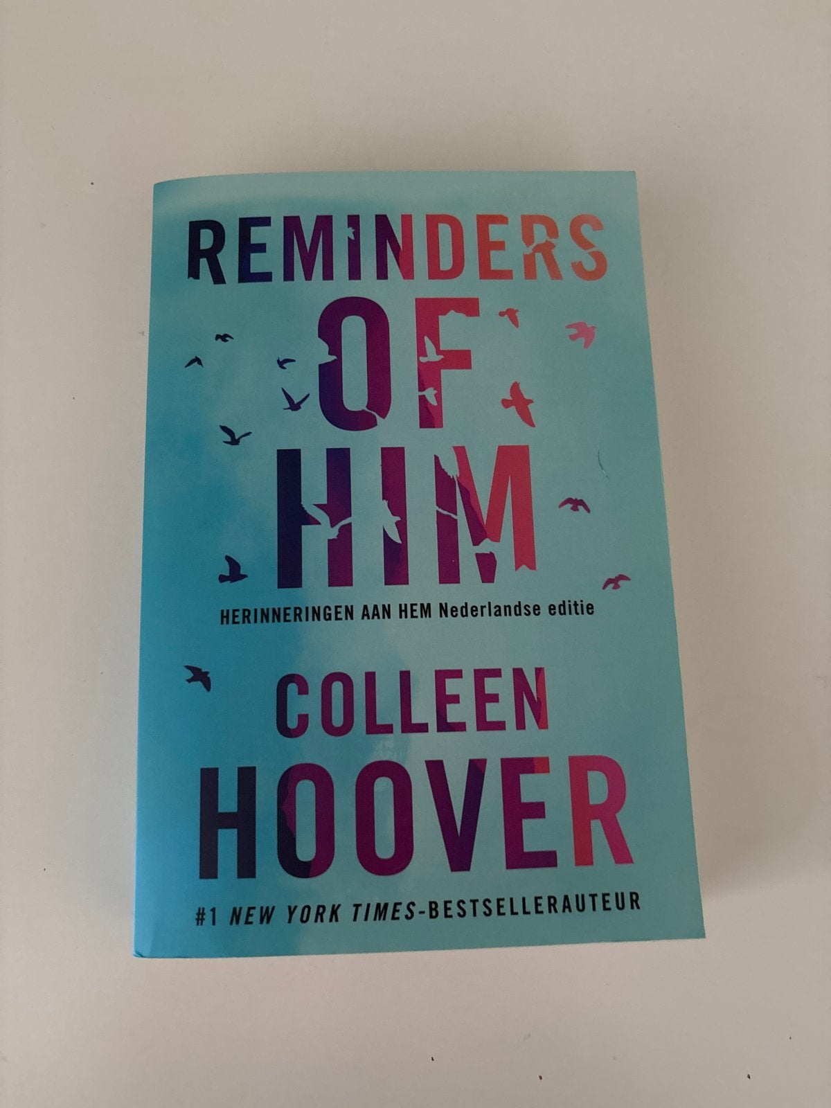 Reminders of Him - Colleen Hoover (Nederlandse editie), Boeken, Romans, Ophalen of Verzenden, Zo goed als nieuw, Nederland