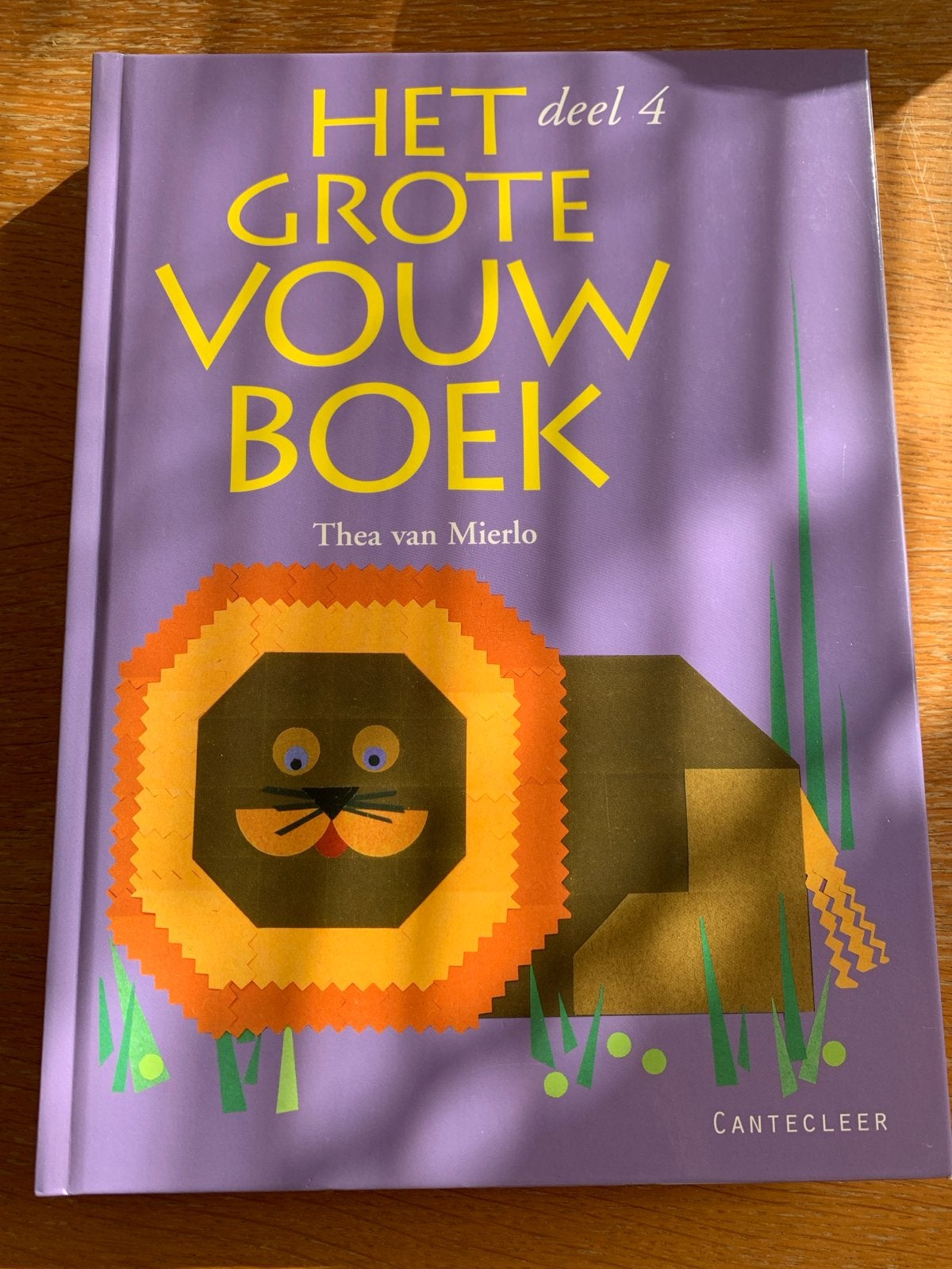 Het Grote Vouwboek deel 4 - Thea van Mierlo, Ophalen of Verzenden, Zo goed als nieuw, Non-fictie