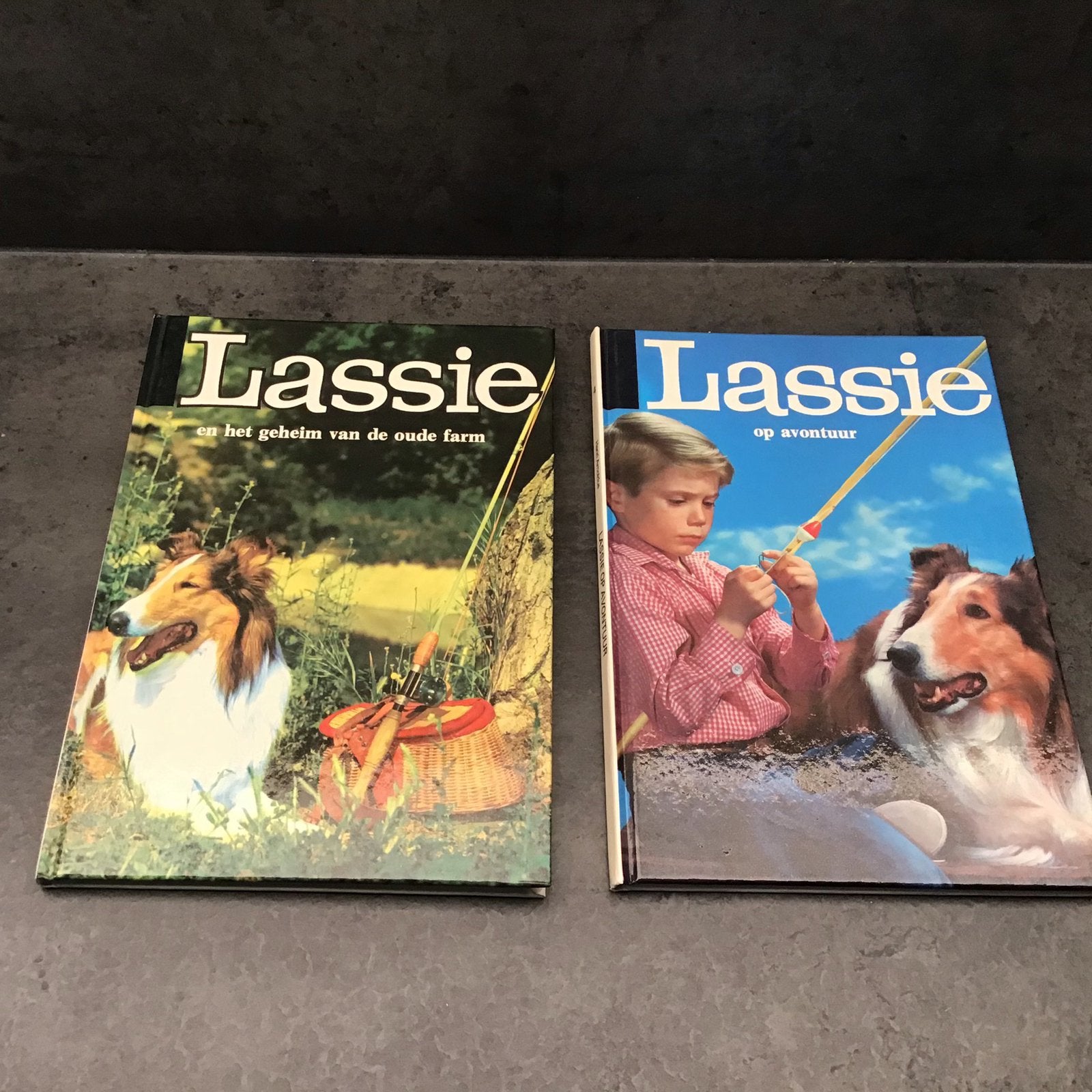 1 lassie boek, Boeken, Ophalen of Verzenden, Zo goed als nieuw, Fictie algemeen
