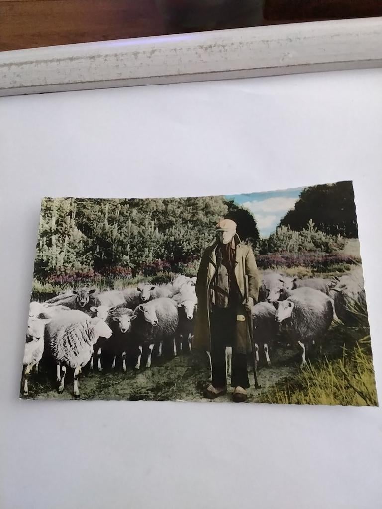 CAMPING " MARISHEEM"   PEY-ECHT (L) 1977, Ophalen of Verzenden, 1960 tot 1980, Limburg
