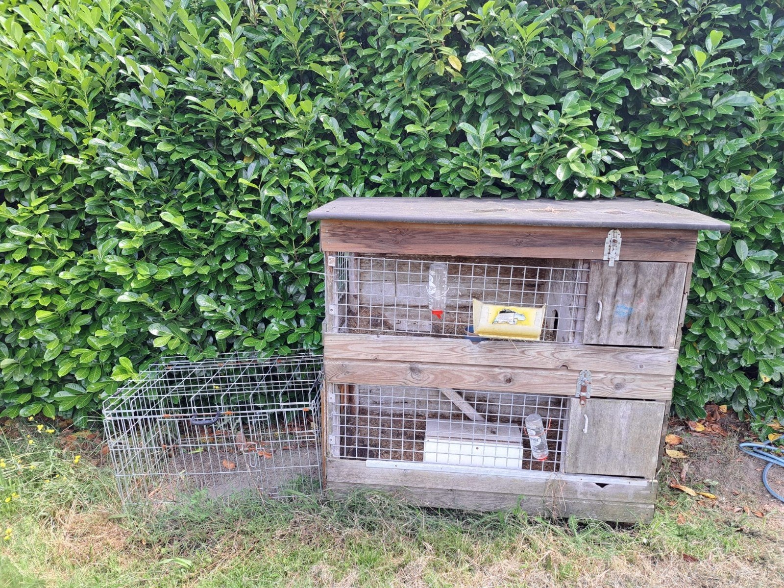 konijnenhok met ren, Dieren en Toebehoren, Ophalen, 110 cm of meer, Zo goed als nieuw, 90 cm of meer