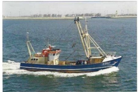 Visserij, Verzamelen, Ophalen of Verzenden, Nieuw, Kaart, Foto of Prent