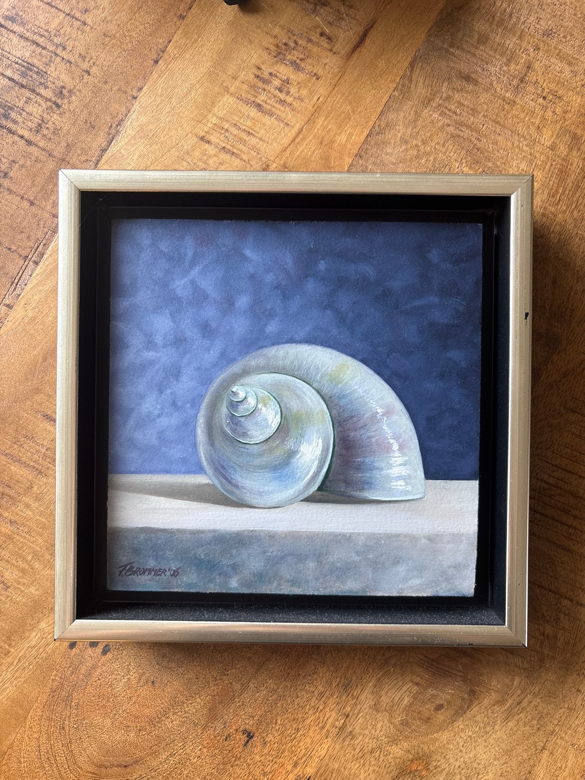 Schilderij Frans Brommer - Schelp (2006), Antiek en Kunst, Kunst | Schilderijen | Klassiek, Ophalen, Gedateerd, Doek, Realistisch