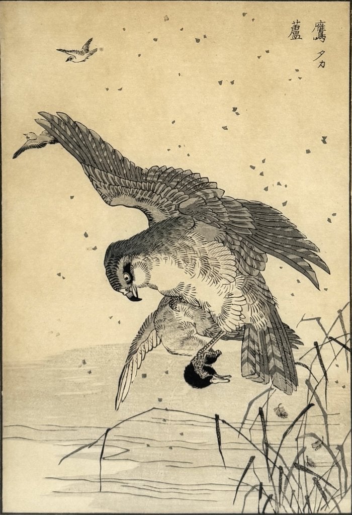 1310. Houtsnede, Kōno Bairei - roofvogel met prooi, 19e eeuw, Ophalen