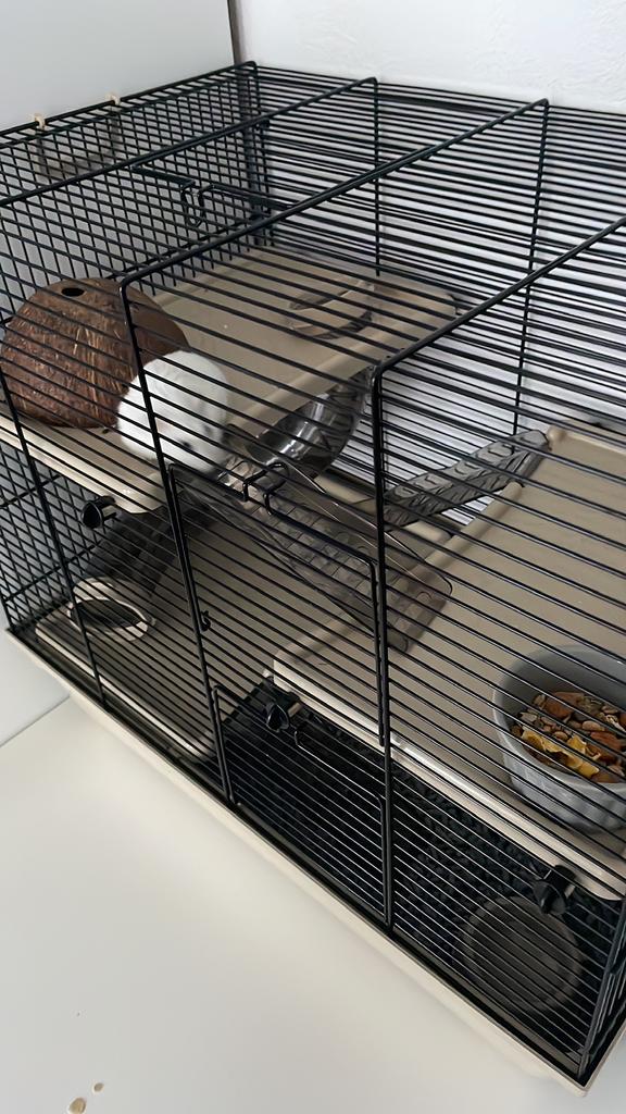 Hamster hok beige, Dieren en Toebehoren, Kooi, Gebruikt, Minder dan 75 cm, Hamster
