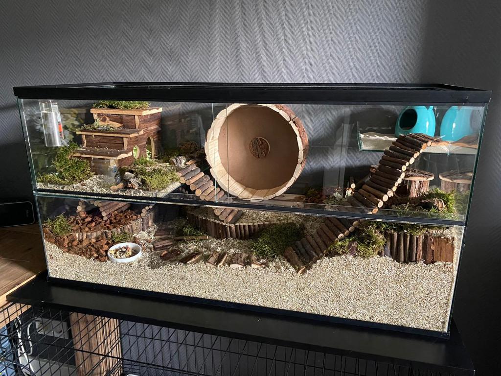 Terrarium glas voor hamster gerbil en rat kooi, Minder dan 60 cm, Ophalen of Verzenden, Minder dan 75 cm, Nieuw
