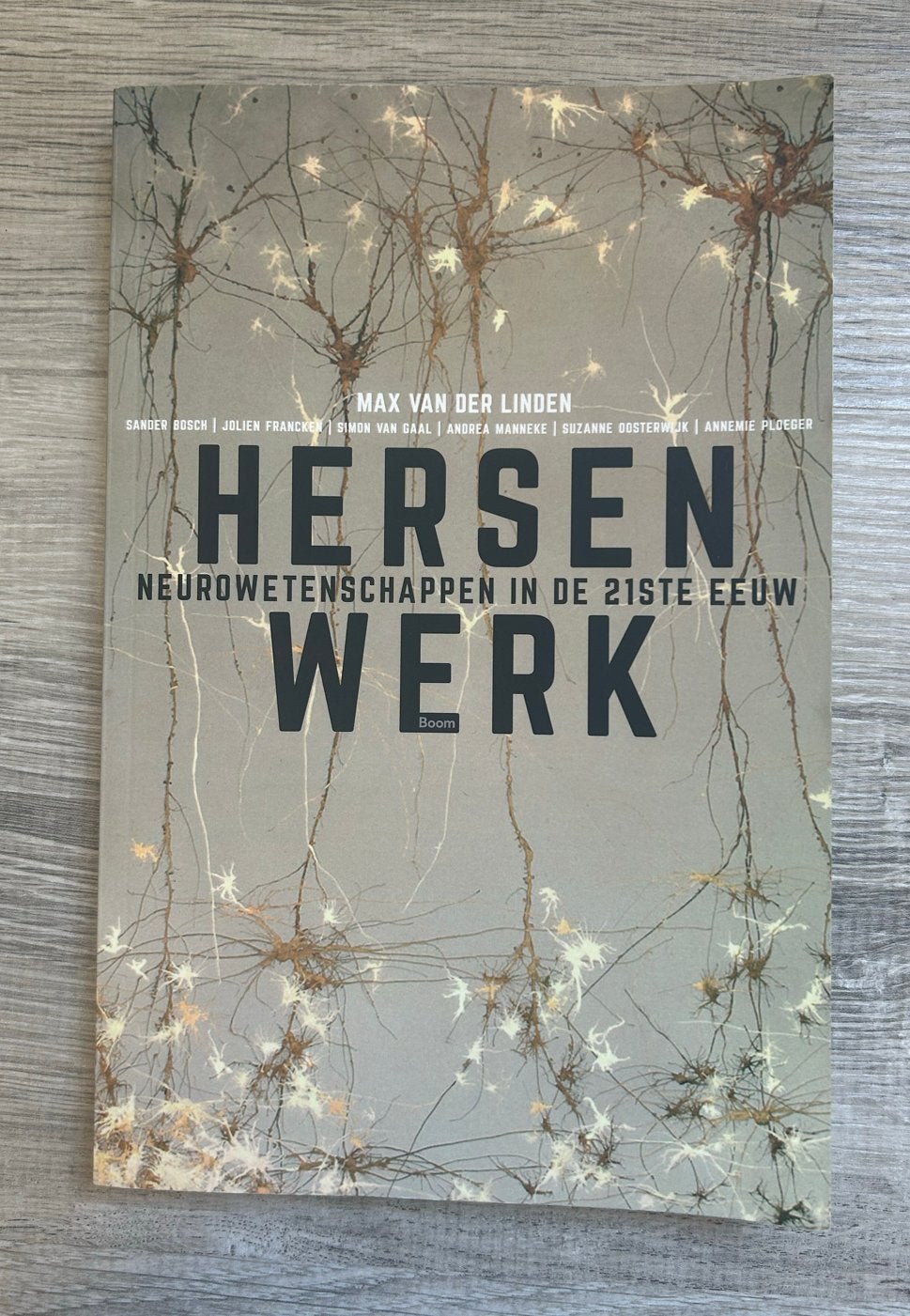 Hersenwerk: Neurowetenschappen in de 21e Eeuw, Ophalen of Verzenden, Alpha, Zo goed als nieuw, HBO