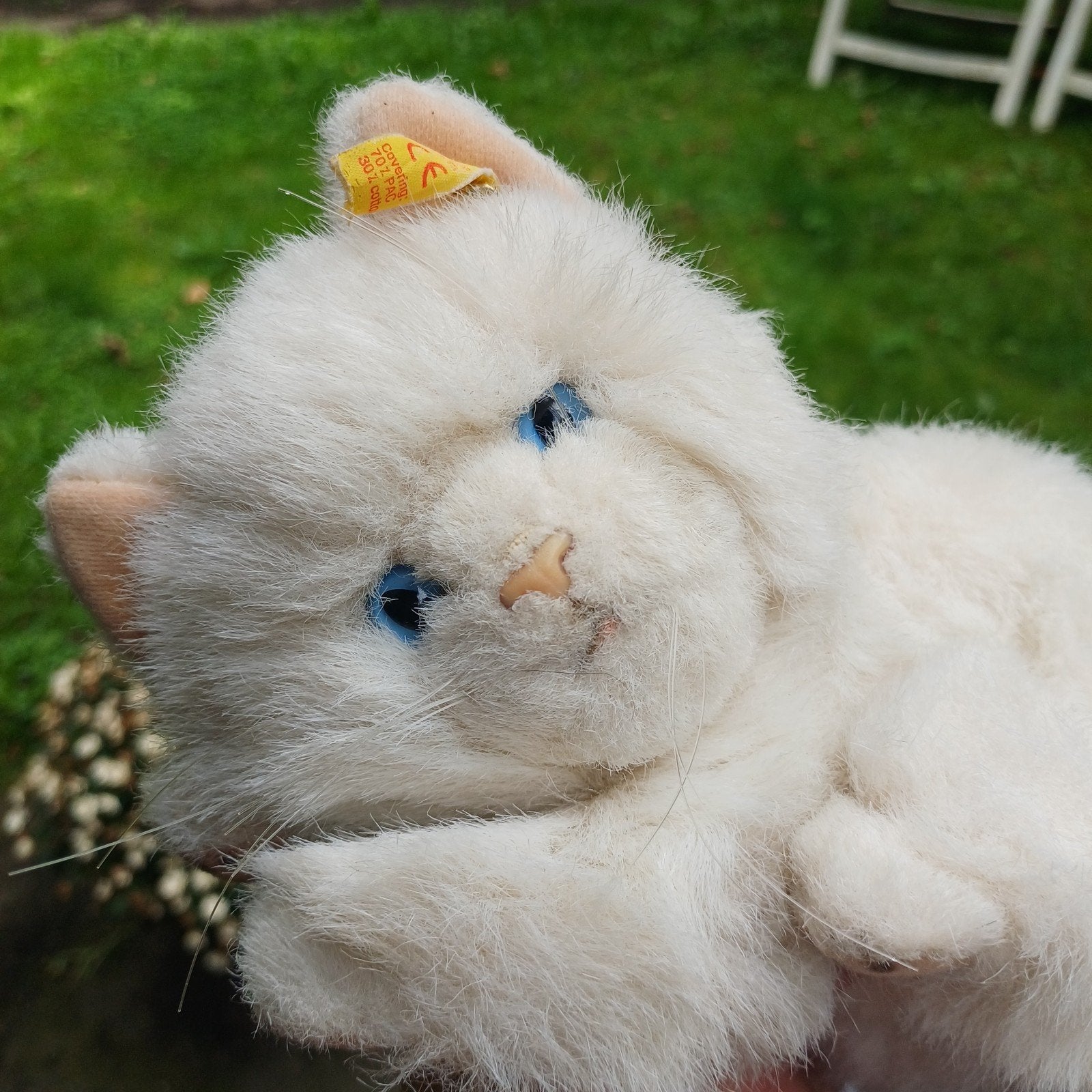 Oude Steiff poes met knop, Ophalen of Verzenden, Zo goed als nieuw, Overige typen, Steiff