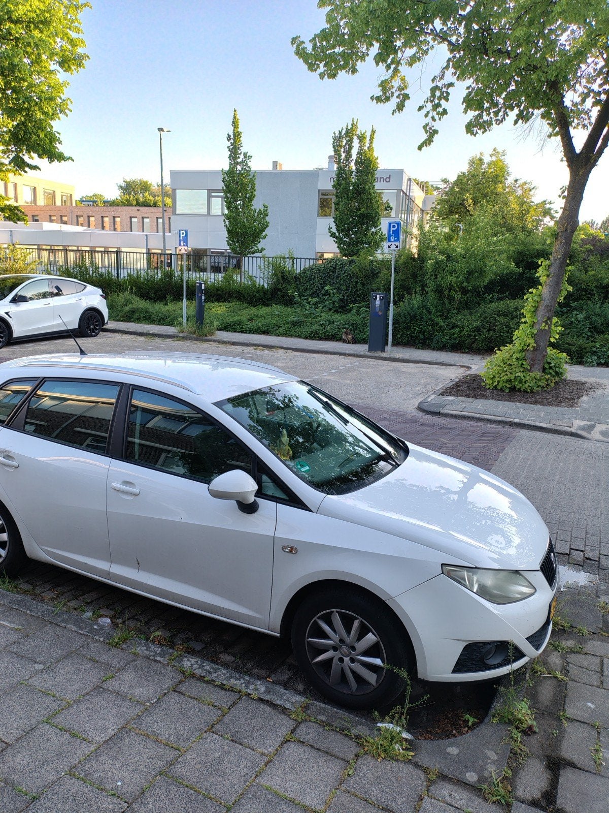 Gezocht leder interieur Seat Ibiza 2011, Auto-onderdelen, Interieur en Bekleding, Ophalen of Verzenden, Seat