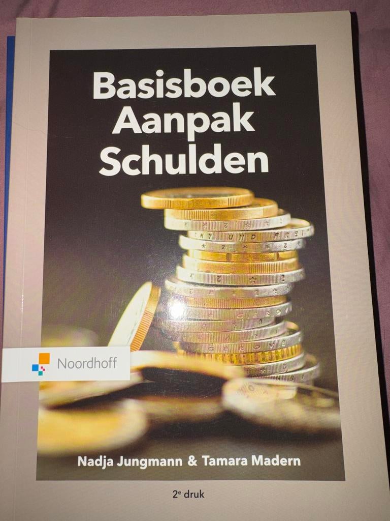 Basisboek Aanpak Schulden - Nadja Jungmann & Tamara Madern, Boeken, Economie, Management en Marketing, Nieuw, Ophalen of Verzenden