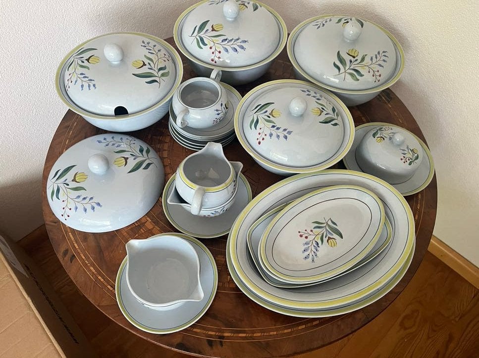 Prachtig Royal Ragout servies - Handgeschilderd Maastricht, Antiek en Kunst, Ophalen of Verzenden