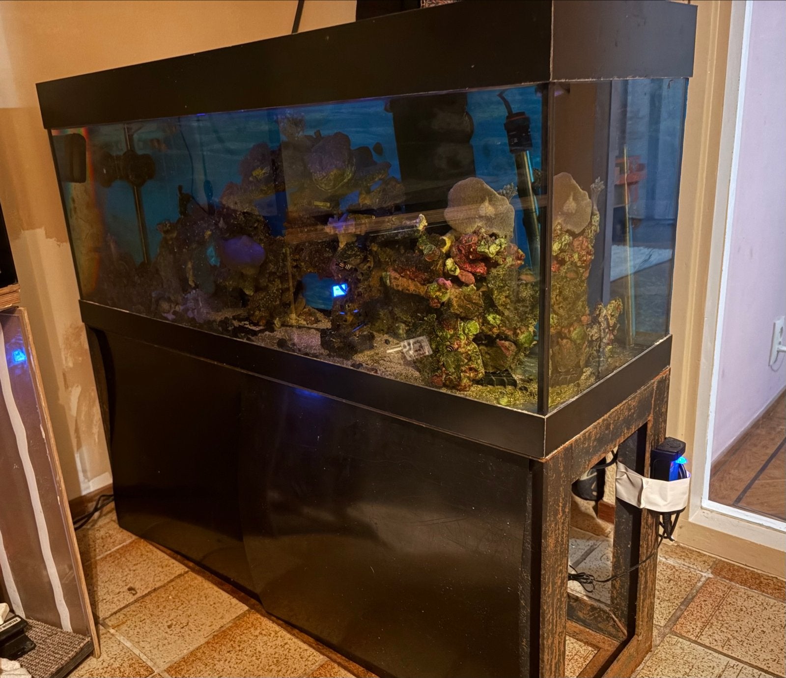 Zeeaquarium (LEEG) klaar voor de start. 110x36x49 cm., Dieren en Toebehoren, Inclusief deksel, Gebruikt, Overige merken, Ophalen of Verzenden