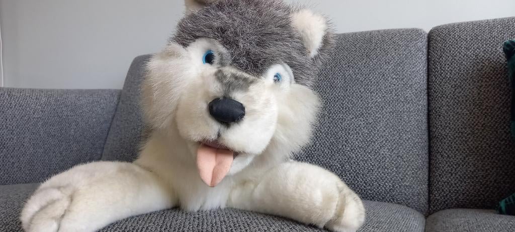 Knuffel van husky hond, Verzenden, Nieuw, Hond