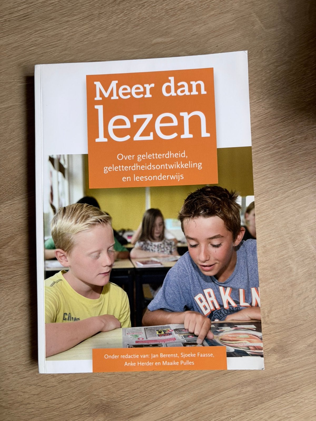 Meer dan lezen PABO, Ophalen of Verzenden, Zo goed als nieuw, Sociale wetenschap