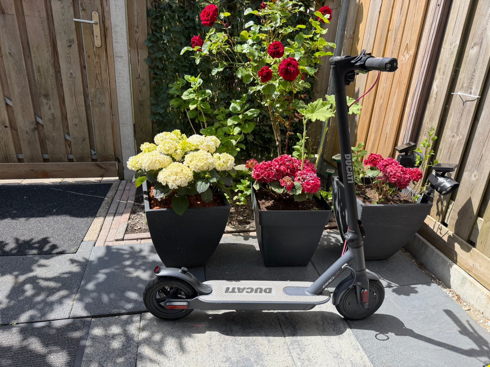 Ducati elektrische step - Zo goed als nieuw, Ophalen of Verzenden, Zo goed als nieuw, Elektrische step (E-scooter)