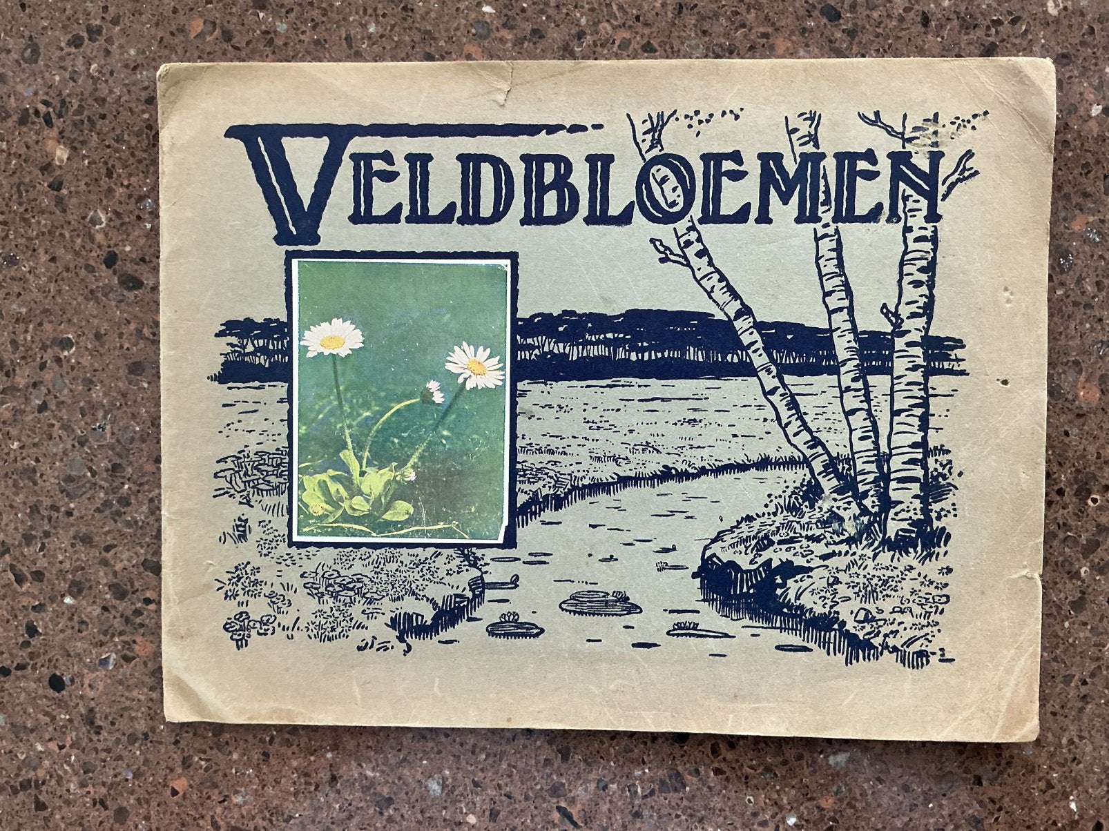 Plaatjesalbum Veldbloemen  uitgave Koorn Alkmaar, Ophalen of Verzenden, Zo goed als nieuw