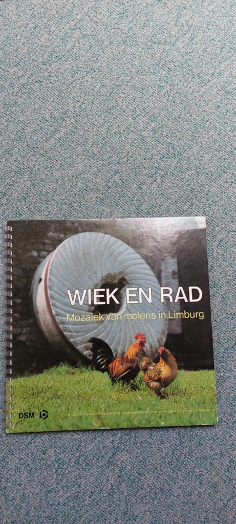 Wiek en Rad, Boeken, Geschiedenis | Stad en Regio, Ophalen of Verzenden, 20e eeuw of later, Gelezen