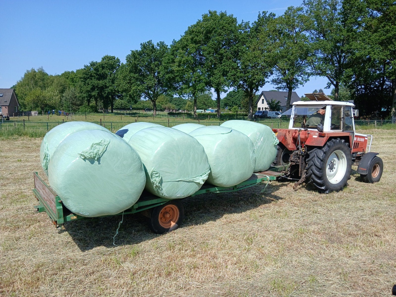 Kleine ronde Hooi balen voor Paarden, schapen, lama's, etc., Ophalen, Vee