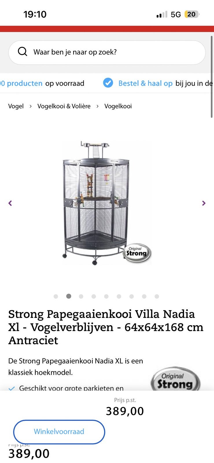 Papegaai of vogelkooi, Mannelijk, Papegaai