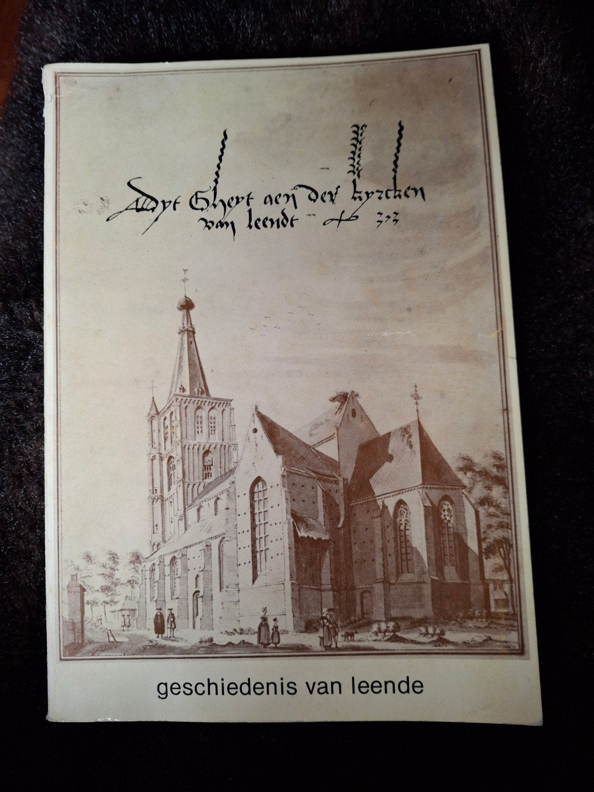 geschiedenis van Leende, Ophalen of Verzenden, Gelezen