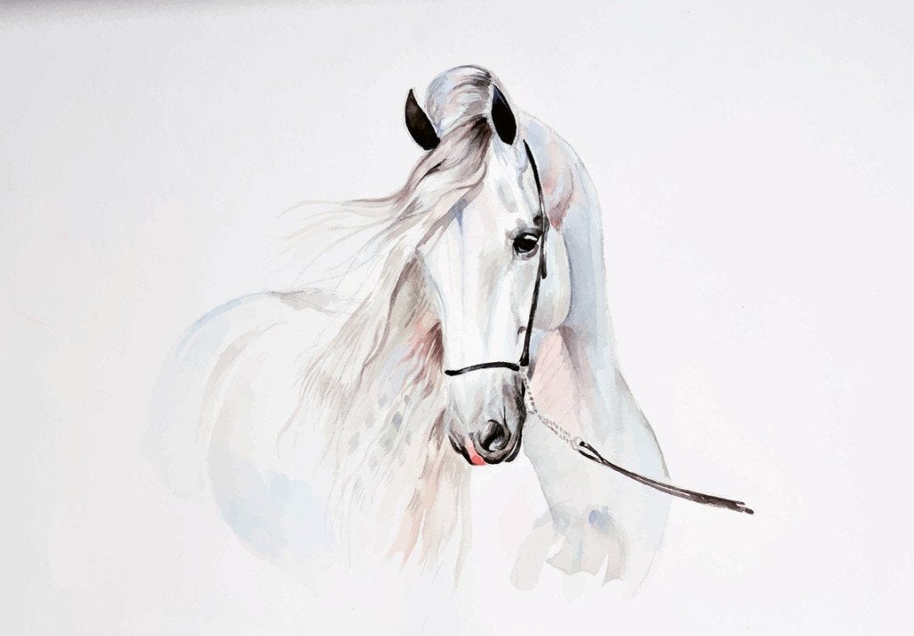 Paarden behang Aquarel paard, fotobehang Muurdeco4kids, Verzenden