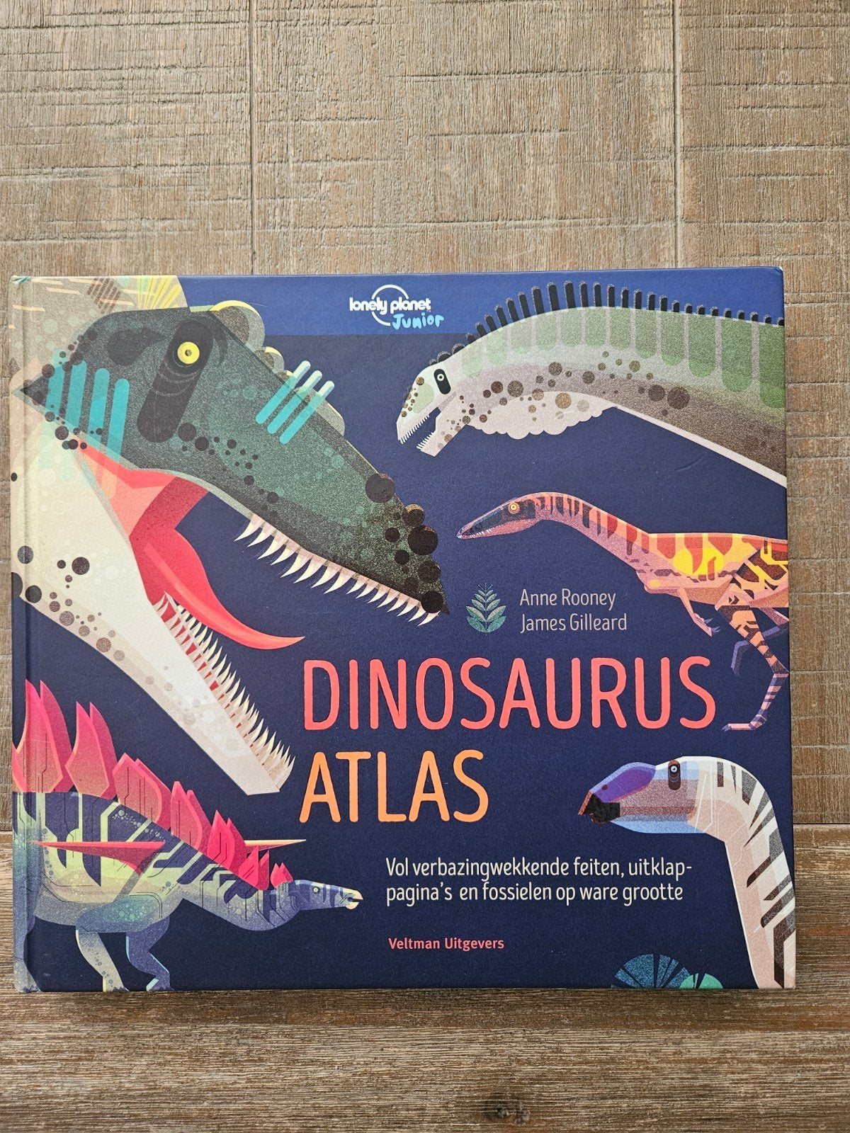 Dinosaurus Atlas, Gelezen, Non-fictie, Ophalen of Verzenden, Anne Rooney, James Gilleard