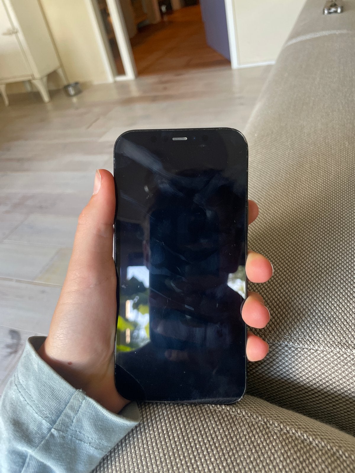 iPhone 12 Pro met kapotte achterkant en moederbord, Ophalen of Verzenden, Niet werkend, Blauw, IPhone 12 Pro Max